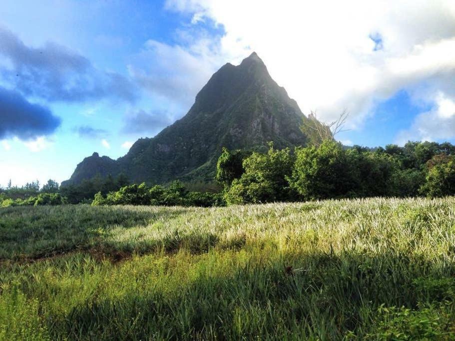 Fare Haurevaiti Moorea Paopao Exterior photo