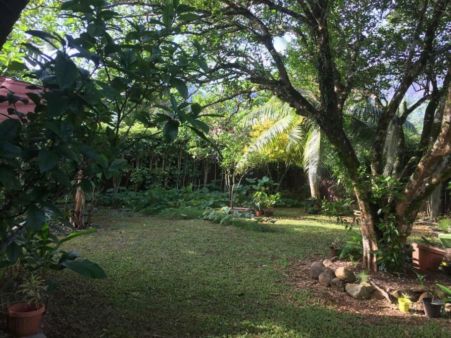 Fare Haurevaiti Moorea Paopao Exterior photo
